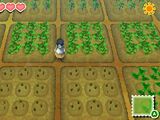 Crops (SoS)