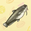 04 Catfish