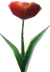 ChampagneFlute (TWoA)
