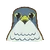 PoOTFalcon