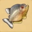 Piranha