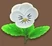 Snow White Pansy (TWoA)