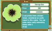 Trio-sea-urchin