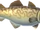 Cod (TWoA).png