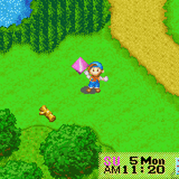 harvest moon ds money cheat