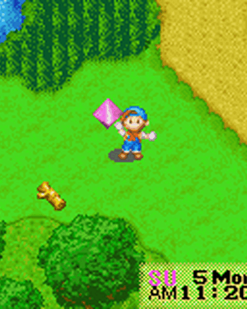 Harvest moon tale of two towns cheats money story