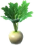 Turnip (TWoA)