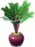 Beet (TWoA)