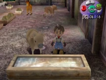 Cow (AWL) | The Harvest Moon Wiki | Fandom