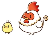 Chicken (SoSFoMT)