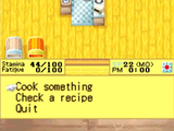 Cooking Recipes (DS)