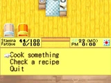 Cooking Recipes (DS)