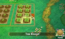 PopoloSoS Crops.jpg (20 KB) Crops in RtP