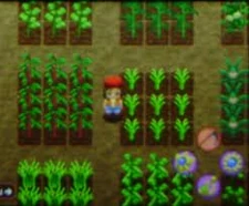 Crops.jpg (8 KB) Crops in SI