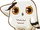 Owl (TToTT)