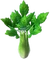Celery (TWoA)