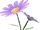 PurpleMarguerite (TWoA).png