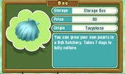 Trio-pearl-oyster