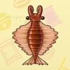 48 Anomalocaris
