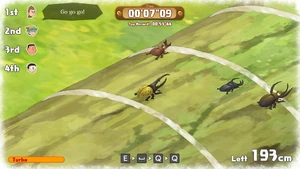 Beetle Race-Dor