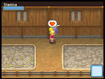 Harvest-Moon-Grand-Bazaar-DS-Screenshot-24mid