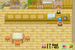 harvest moon friends of mineral town wiki