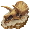 TriceratopsFossil (FotGK)