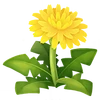 Dandelion (FotGK)