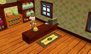 General Store SoS