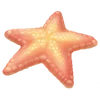 Starfish (FotGK)