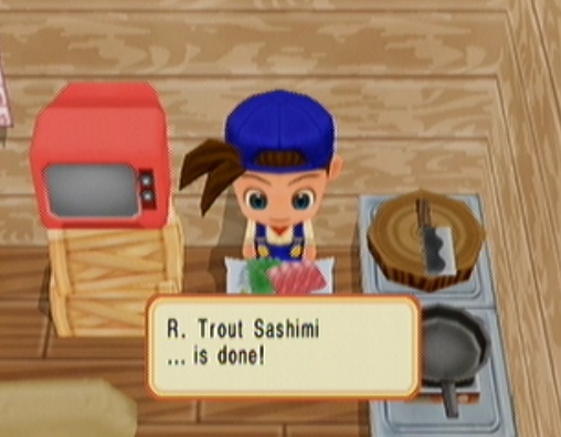 harvest moon tale of two towns cooking