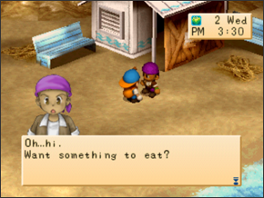 Mineral Beach (BTN), The Harvest Moon Wiki