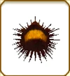 Grilled Sea Urchin (ToT)