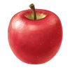 Apple (FotGK)