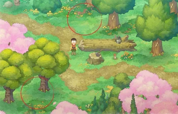 Lumberjack Forest C & D