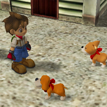 Dog Awl The Harvest Moon Wiki Fandom