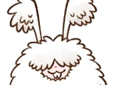 Angora Rabbit (SoSFoMT)