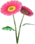 Daisy (TWoA)