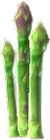 Asparagus (TWoA)