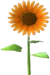 SunsetBeach (TWoA)