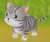 American Shorthair (SoSFoMT)
