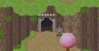 Entrance to the Mine