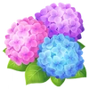 Hydrangea (FotGK)