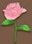 Pink Rose (TWoA)