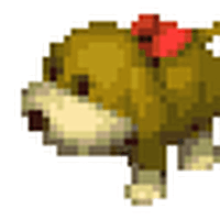Dog Btn The Harvest Moon Wiki Fandom