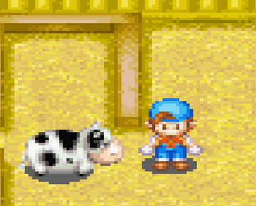 Cow Ds The Harvest Moon Wiki Fandom