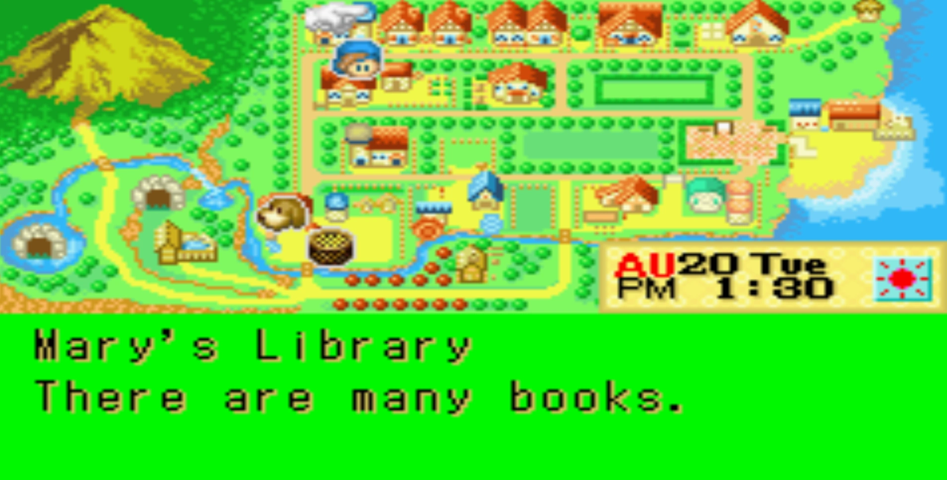 Library (FoMT) | The Harvest Moon Wiki | Fandom, image size:1909x969