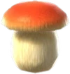 PorchiniMushroom (TWoA)