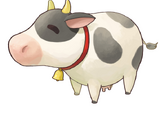 Cow (SV)