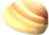 LargeClam (TWoA)
